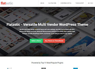 X v5.0.2 - The WordPress Theme - Themeforest